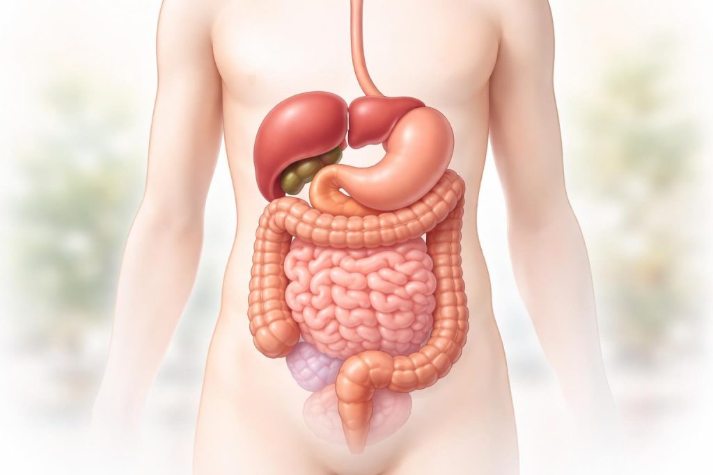 Mucus dans les Selles Photos : Comment les Reconnaître ?