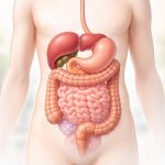 Mucus dans les Selles Photos : Comment les Reconnaître ?