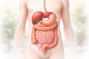 Mucus dans les Selles Photos : Comment les Reconnaître ?